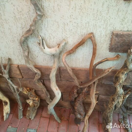 Коряги дрифтвуд