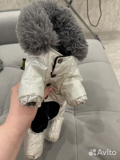 Куртка для собак мелких пород