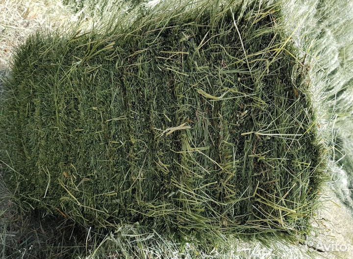 Сено в тюках