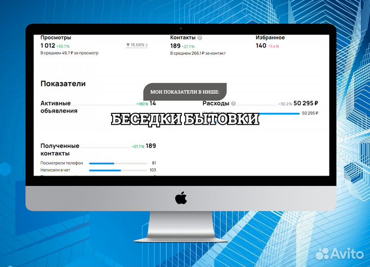 Профессиональный Авитолог. Продвижение на Авито