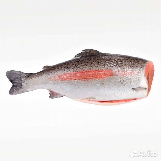 Рыба семга (лосось), икра горбуши