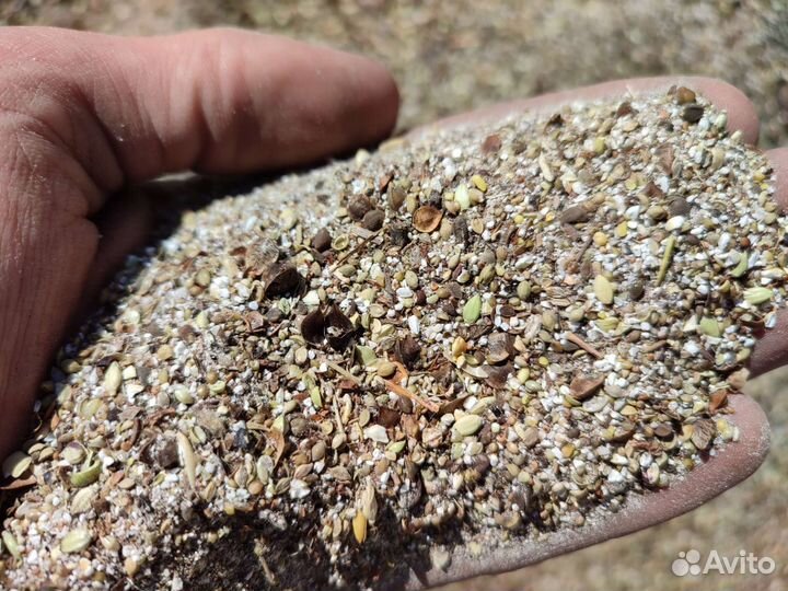 Корма для животных