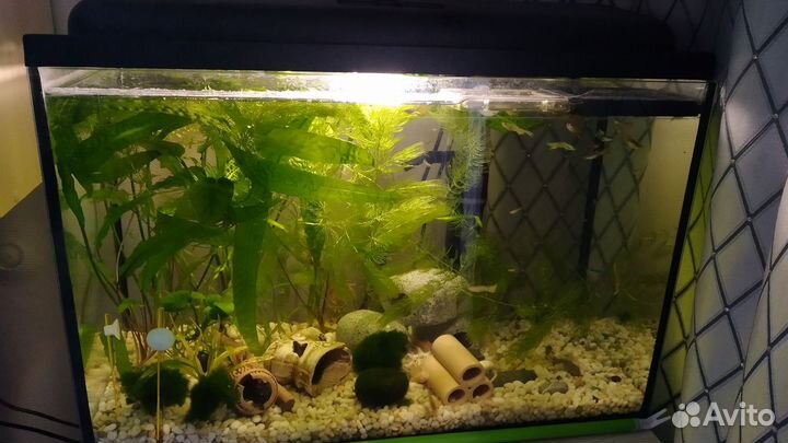 Аквариум 30 литров