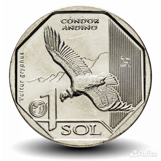 Монеты Перу Красная книга, животные, Андская кошка