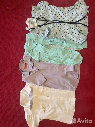 Много школьной одежды