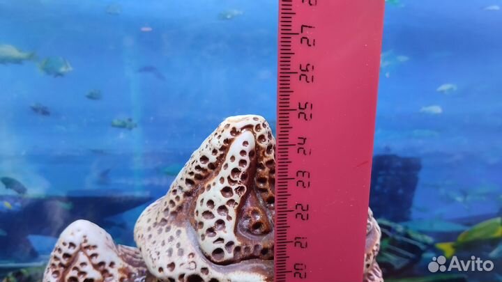 Замок для аквариума