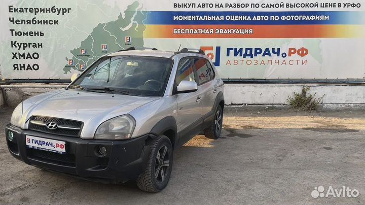 Стекло двери передней правой Hyundai Tucson (JM) 8