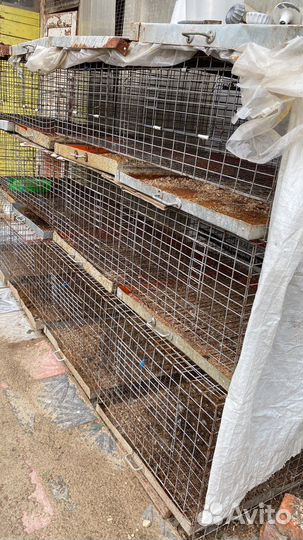 Клетки для цыплят и кур