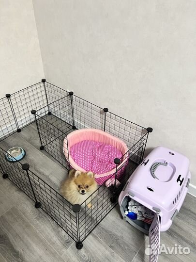 Вольер для щенков