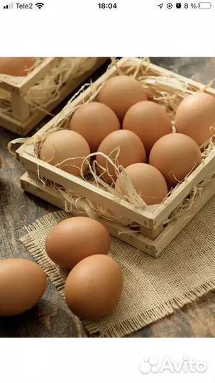 Домашние яйца