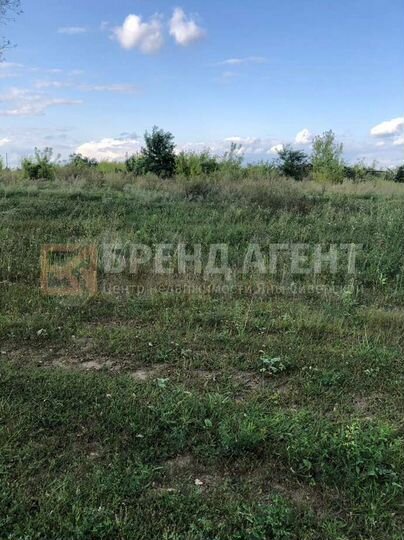 Участок 67 сот. (ИЖС)