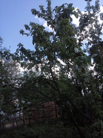 Дача 20 м² на участке 9 сот.