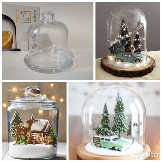 Лимонница стеклянная