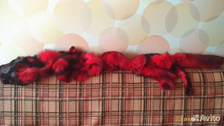 Остатки шкурки лисы