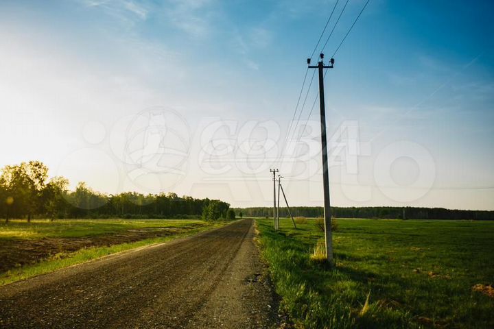 Участок 9,8 сот. (СНТ, ДНП)