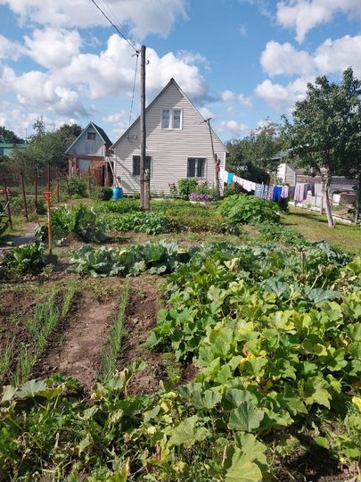 Дом 37,5 м² на участке 5 сот.