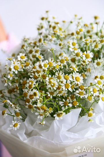 Букет с ромашками. Доставка