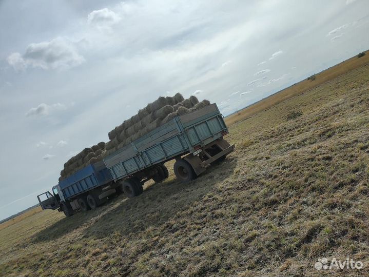 Сено продажа только камазом 300 шт. По 180