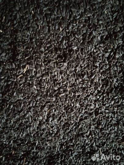 Масло для животных