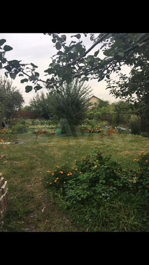 Дача 52 м² на участке 16 сот.