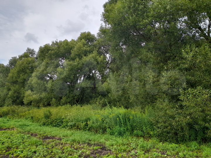 Дом 40 м² на участке 13 сот.