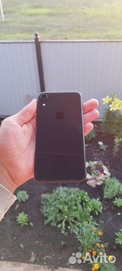 iPhone xr 64gb