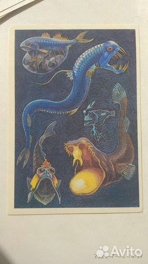 Природа после захода солнца. Обитатели темноты