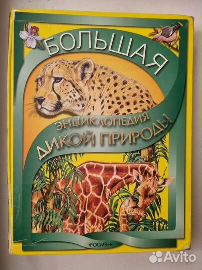 Энциклопедия дикой природа, дет. энцикл. динозавро