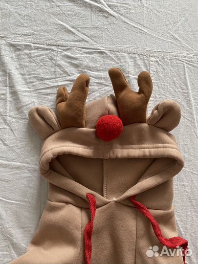 Костюм для собак