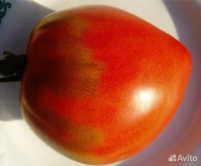 Семена томатов