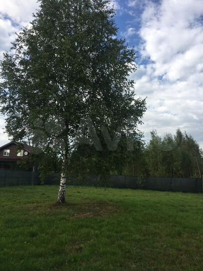 Участок 9 сот. (СНТ, ДНП)