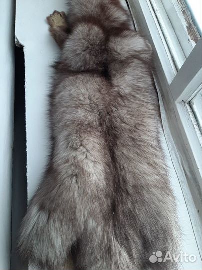 Шкура песца