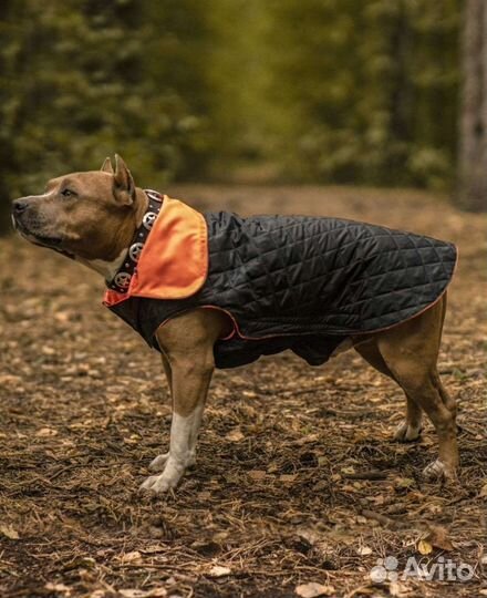 Попона для собак,куртка, комбинезон новая