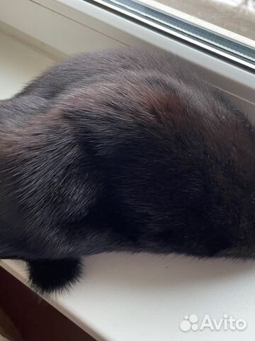 Берет норковый