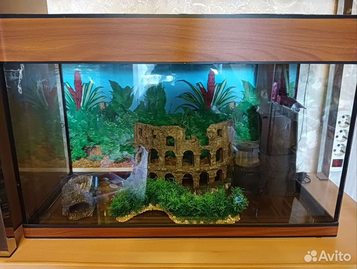 Аквариум