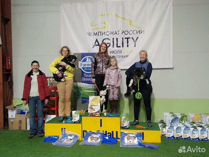 Передержка, дрессировка, ветуслуги, зоотакси