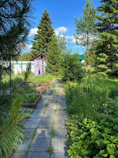 Дача 40 м² на участке 15 сот.