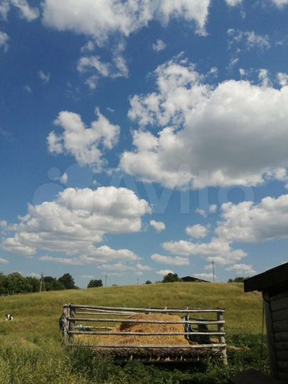 Дом 60 м² на участке 23 сот.