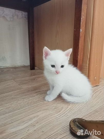 Крошки на ладошке