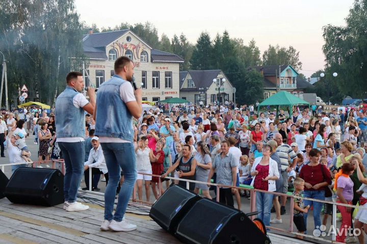 Певец на праздник, баян, выступление