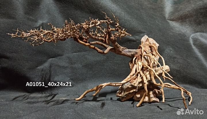 Коряги Бонсай, растения., корма для рыб