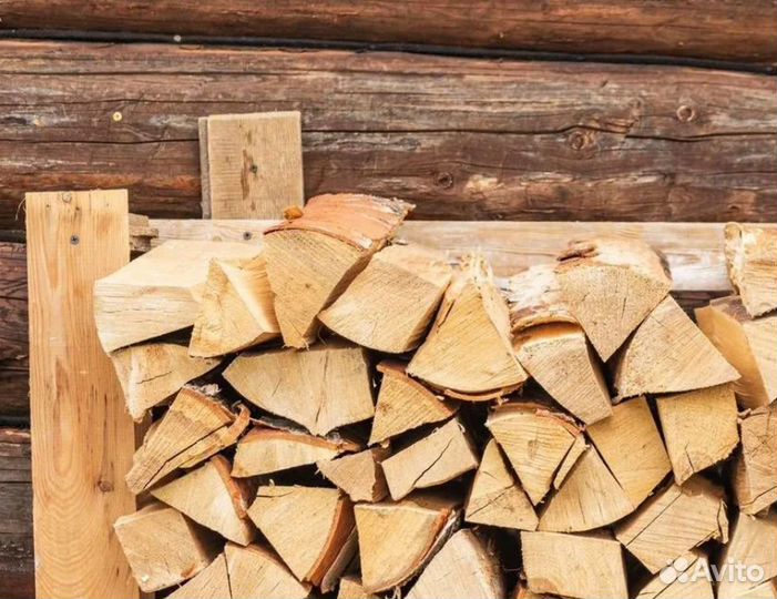 Дрова береза
