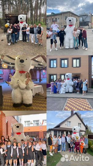 Белый мишка поздравление аниматор на праздник