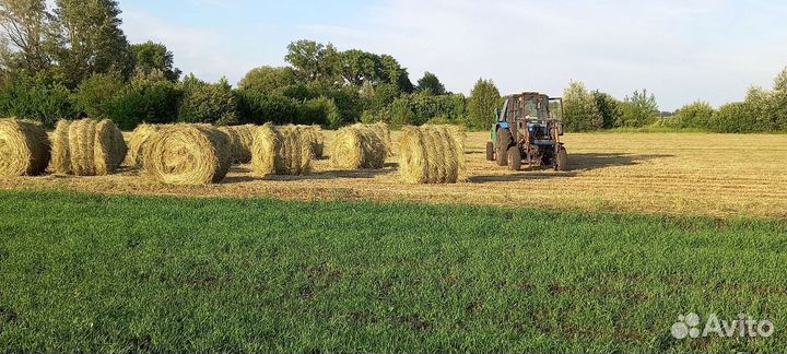 Сено в тюках и рулонах