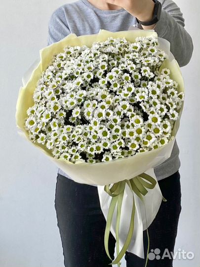 Букет из ромашек Сантини