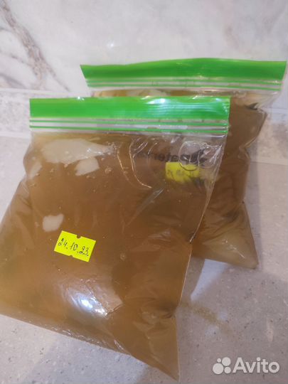 Холодец домашний