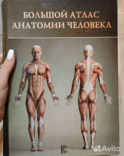 Большой атлас анатомии человека Винс Перез