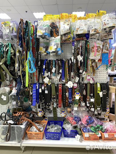 Ошейники для собак