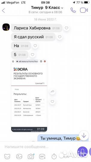 Профессиональный репетитор по русскому языку