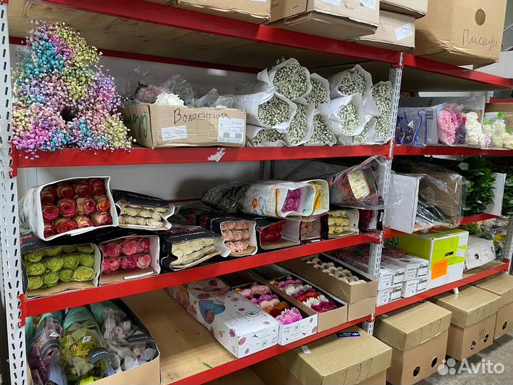 Гипсофила, зелень, розы цветы оптом